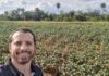 Pesquisa apoiada pela FAPDF mostra o carbono como aliado da agricultura sustentável