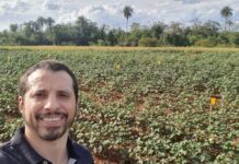Pesquisa apoiada pela FAPDF mostra o carbono como aliado da agricultura sustentável
