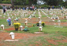 Mais de 600 mil pessoas devem visitar os cemitérios do DF no Dia de Finados
