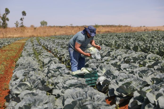 WhatsApp Image 2025-11-01 at 10.44.31 (1)