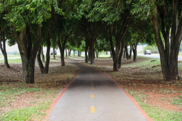 WhatsApp Image 2025-11-02 at 09.12.11