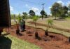 Programa Adote uma Praça chega ao Park Way e fortalece participação da comunidade