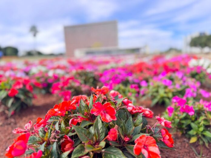 WhatsApp Image 2025-11-14 at 14.29.35 (1)