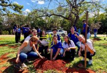 Educação e meio ambiente: jovens realizam plantio no Zoológico de Brasília