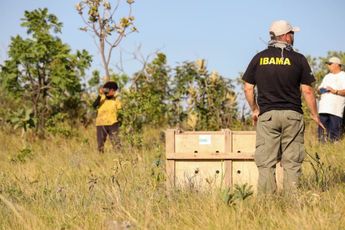 WhatsApp Image 2025-11-22 at 09.33.22