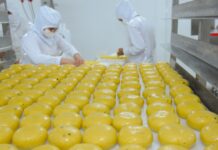 Inscrições para cursos gratuitos de panificação, confeitaria e cozinha poderão ser feitas a partir de segunda-feira (2)