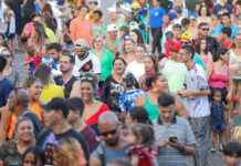 DF Folia 2026: Carnaval brasiliense anima a população com diversidade de blocos