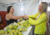 Na Feira da Goiaba, governadora Celina Leão incentiva novos mercados para a agricultura