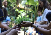 Projeto incentivado por ONG belga integra programas do DF e promove educação ambiental com arte