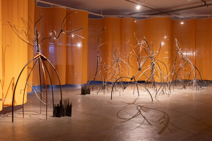 36 Bienal de São Paulo