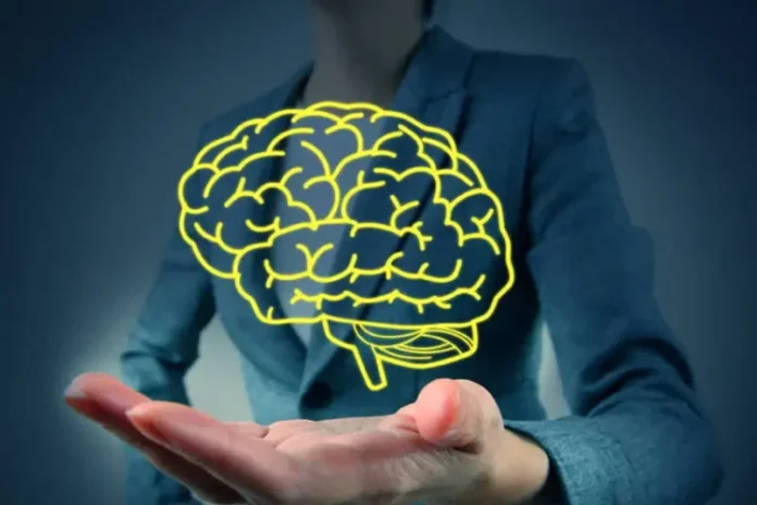 size_960_16_9_cerebro16
