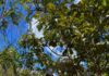GDF define 1º sábado de agosto como o Dia da Caminhada nas Trilhas Ecológicas