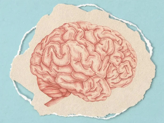 cerebro
