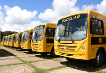 Confira quem tem direito e como solicitar o transporte escolar
