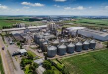 GDF lança Edital de Chamamento Público nº 01/2026 para o Polo Agroindustrial do Rio Preto