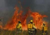 Brasília entra no período mais crítico da seca com 2,8 mil incêndios