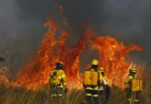 Brasília entra no período mais crítico da seca com 2,8 mil incêndios
