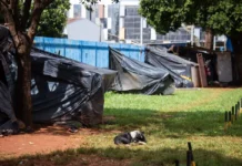 TCDF quer saber destino de pessoas em situação de rua após acolhimento