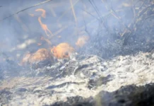 DF registra 60 incêndios em vegetação nesta segunda-feira (31/8)