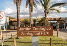 Zoo de Brasília terá ressarcimento para visitantes de dois programas